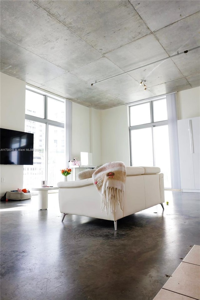 living room with expansive windows and concrete flooring