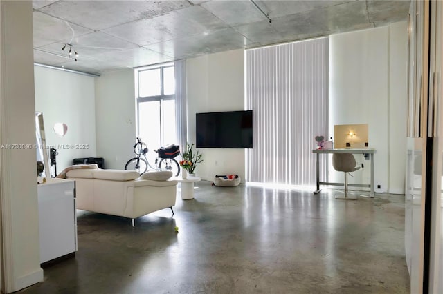 living room with concrete floors