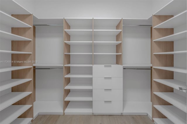 walk in closet featuring light hardwood / wood-style flooring