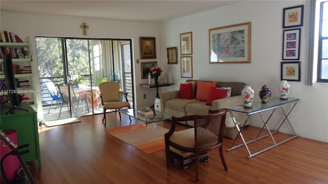 living room with hardwood / wood-style flooring