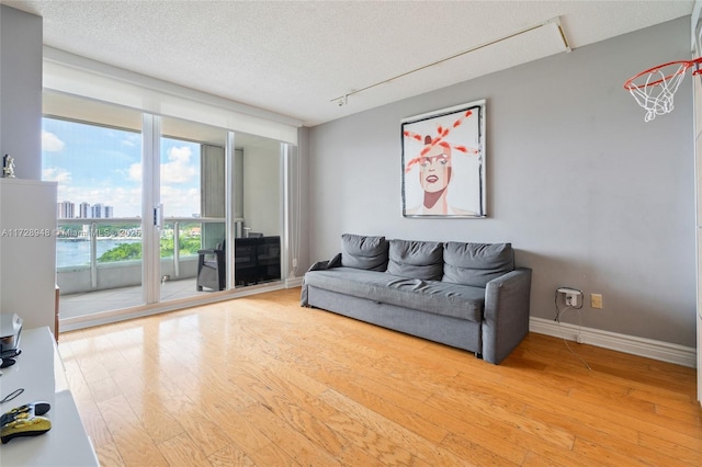 living room featuring a textured ceiling, baseboards, a view of city, light wood finished floors, and track lighting