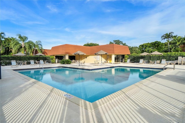 view of swimming pool with a patio