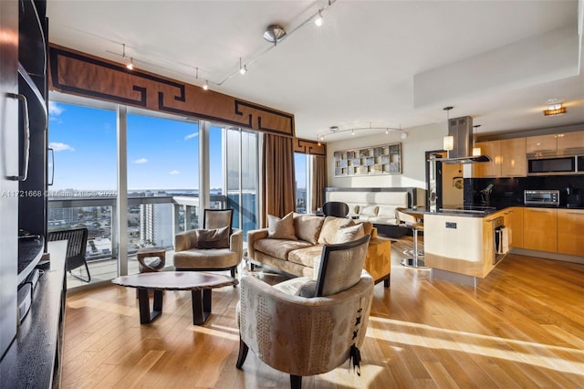 living room with rail lighting, light hardwood / wood-style floors, and a healthy amount of sunlight