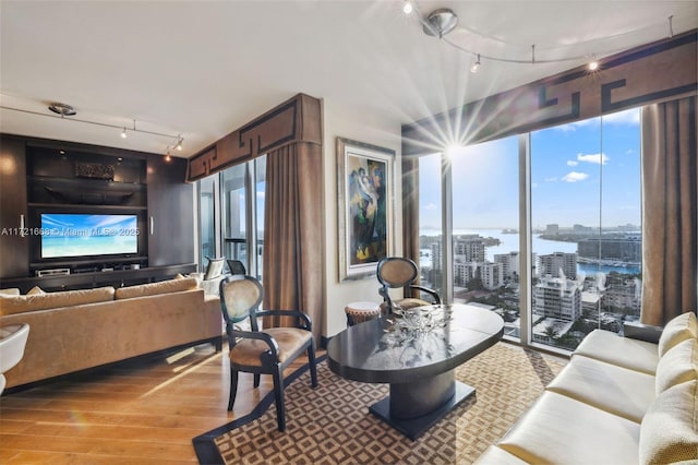 living room featuring light hardwood / wood-style floors, a water view, and plenty of natural light