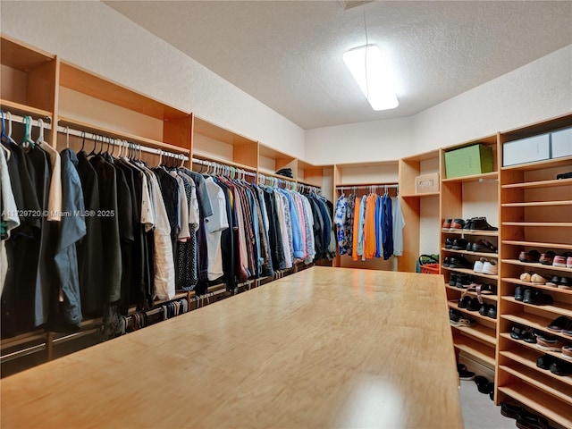 view of walk in closet