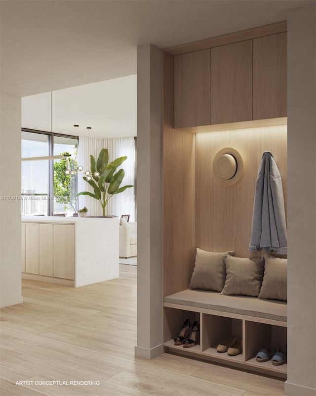 mudroom featuring light hardwood / wood-style flooring