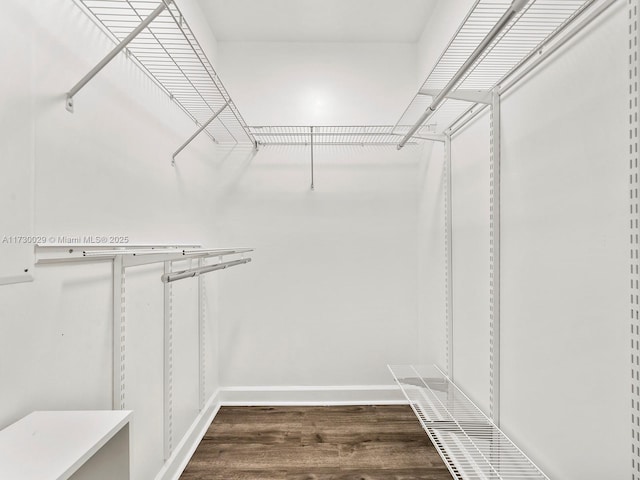 spacious closet featuring dark wood-type flooring