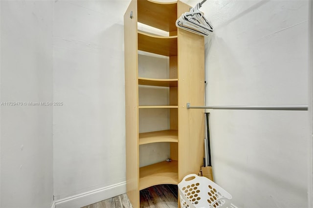 walk in closet featuring wood-type flooring