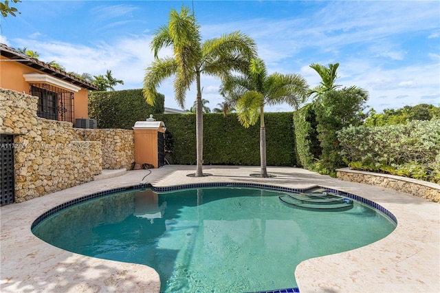 view of pool with a patio