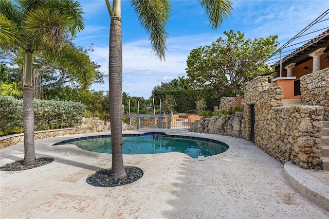 view of swimming pool with a patio