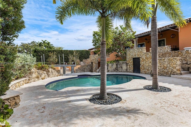 view of swimming pool with a patio area