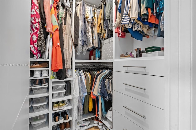 view of spacious closet