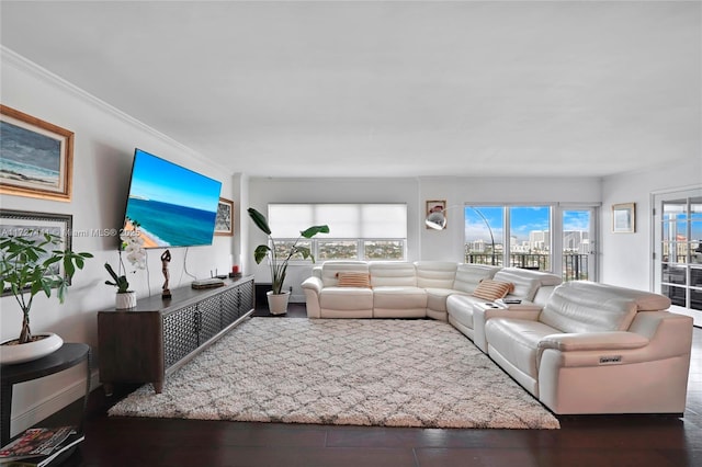 living room featuring ornamental molding and dark hardwood / wood-style flooring