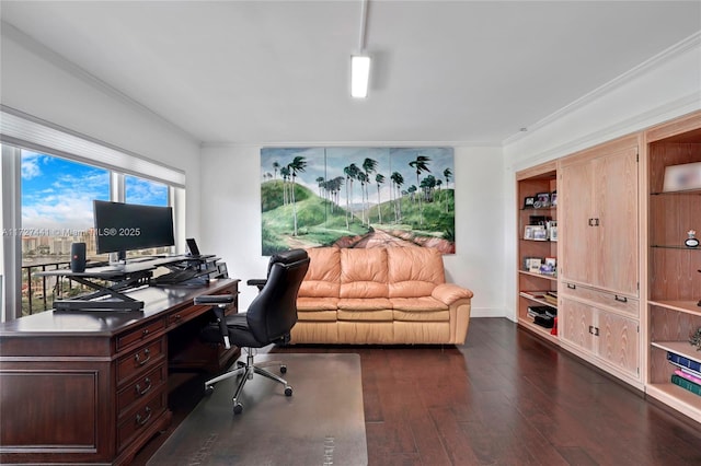 office featuring dark wood-type flooring