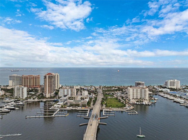 aerial view with a water view