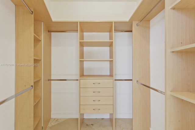 view of walk in closet