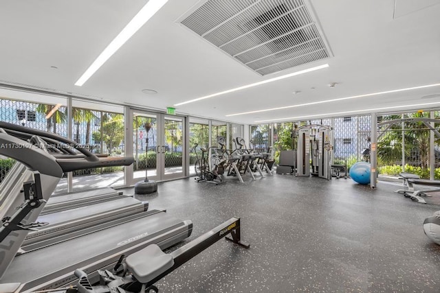 workout area featuring expansive windows and french doors