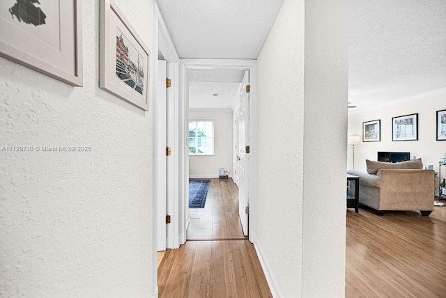 hall with a textured ceiling, light hardwood / wood-style flooring, and ornamental molding