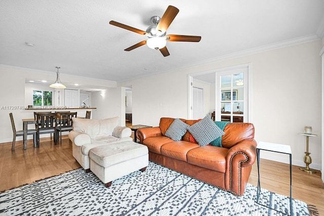 living room with ceiling fan, crown molding, and light wood-type flooring