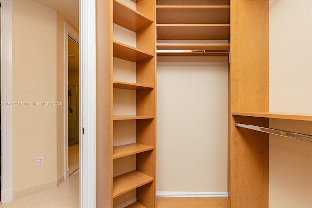 view of walk in closet