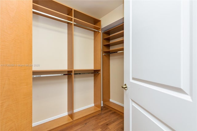 walk in closet with hardwood / wood-style flooring