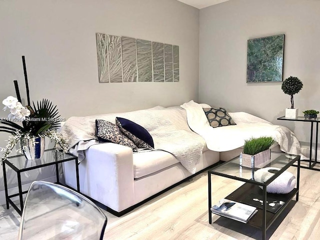 living room featuring hardwood / wood-style floors