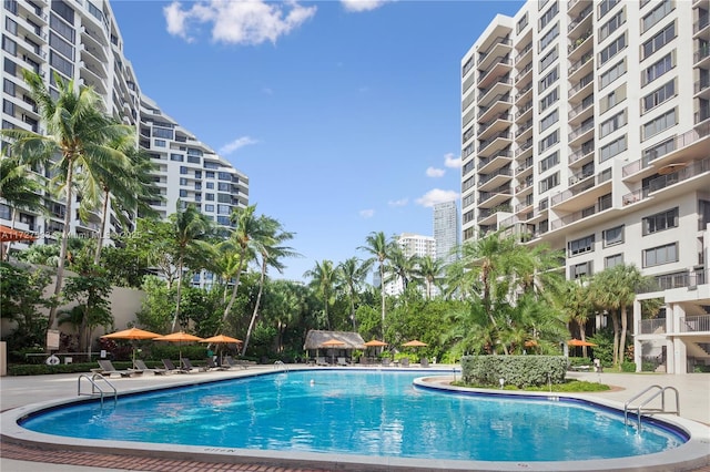 view of pool with a patio