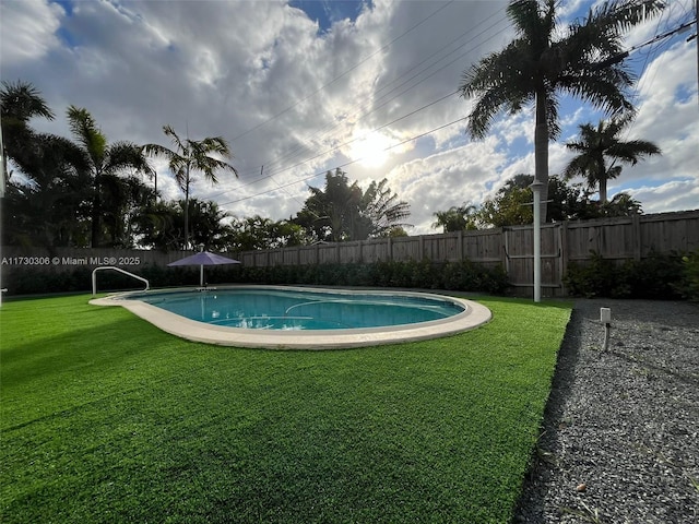 view of pool with a yard