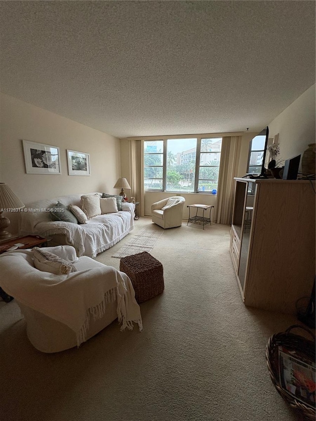 carpeted living room with a textured ceiling