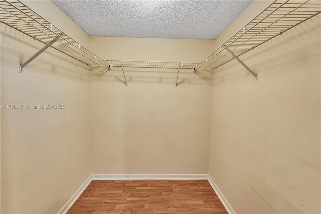 walk in closet featuring hardwood / wood-style flooring