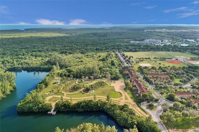 bird's eye view featuring a water view