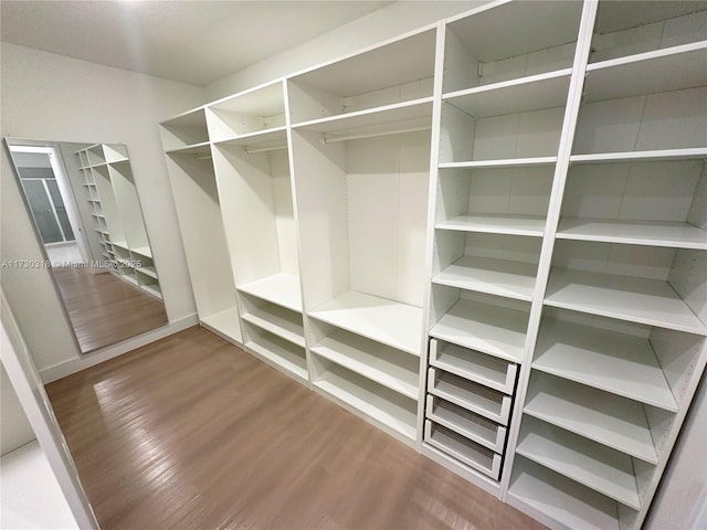 walk in closet featuring wood-type flooring