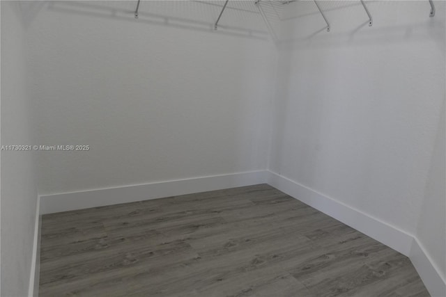 walk in closet with wood-type flooring