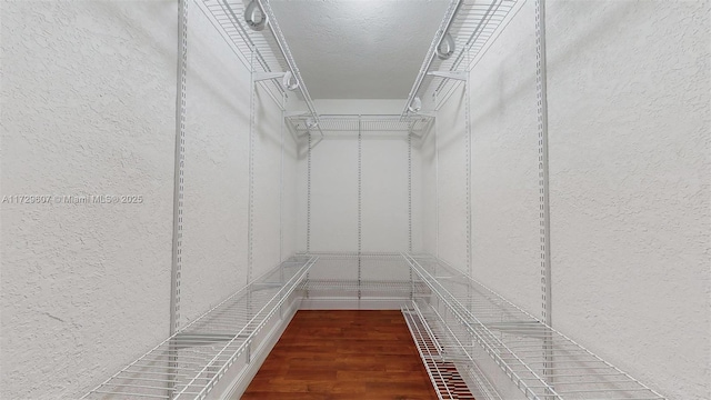 spacious closet with hardwood / wood-style flooring