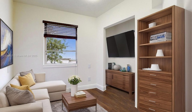 living room with wood-type flooring