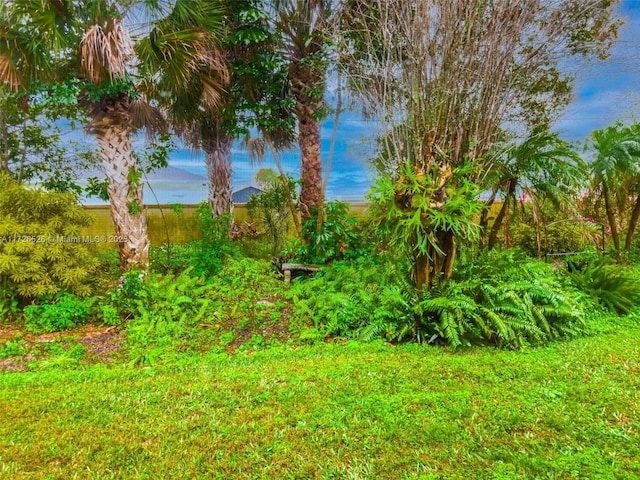 view of yard with a water view