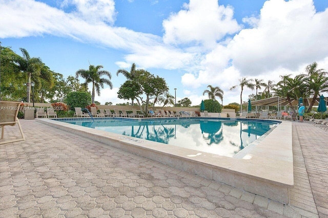 view of pool with a patio