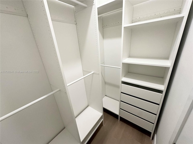 walk in closet featuring dark hardwood / wood-style floors