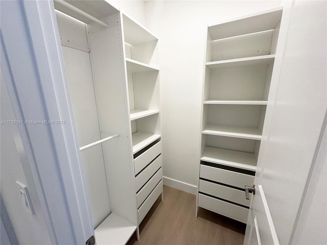 spacious closet with wood-type flooring