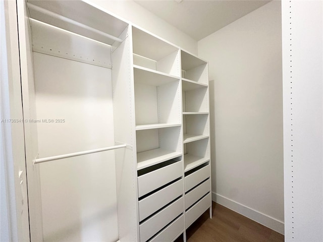 walk in closet featuring dark wood-type flooring