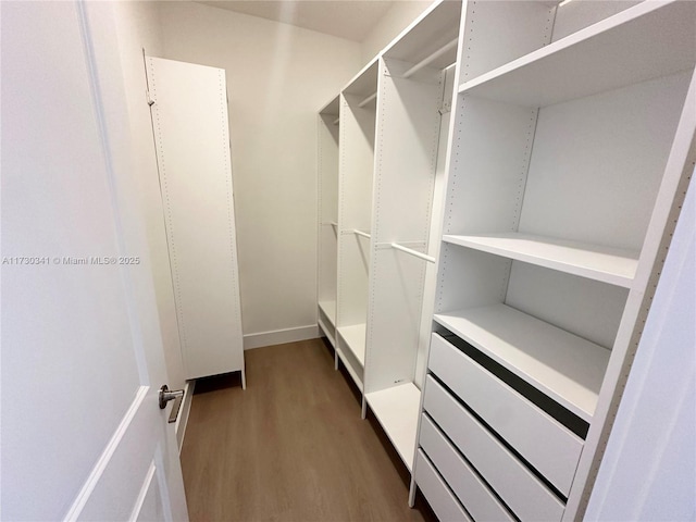 walk in closet with hardwood / wood-style flooring