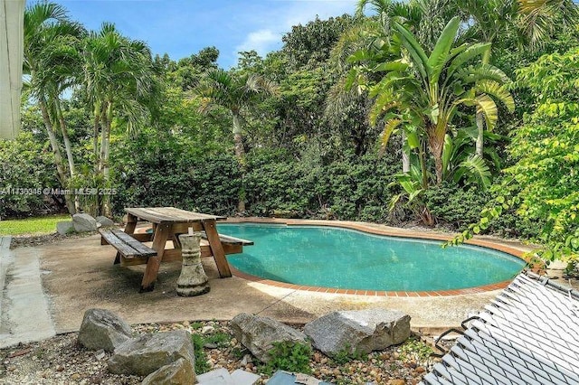 view of pool featuring a patio