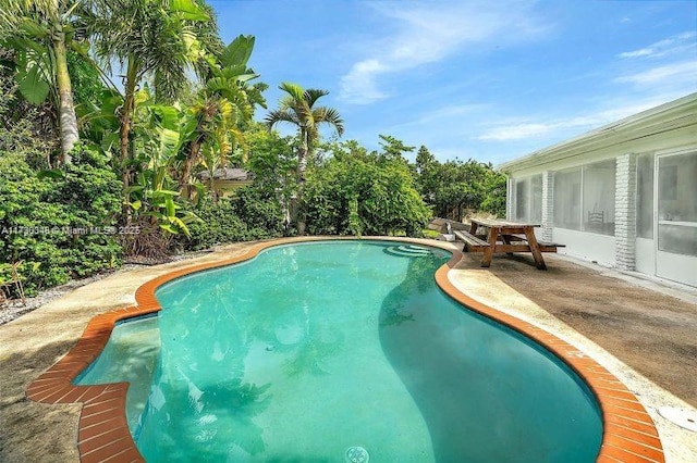 view of pool with a patio area