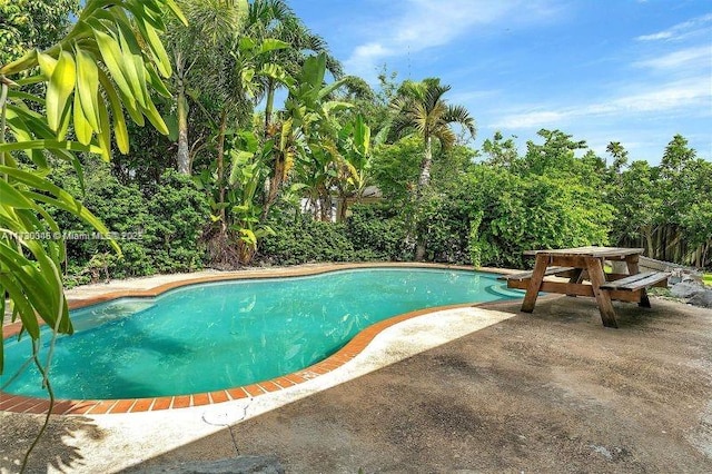 view of pool with a patio