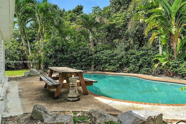 view of swimming pool with a patio