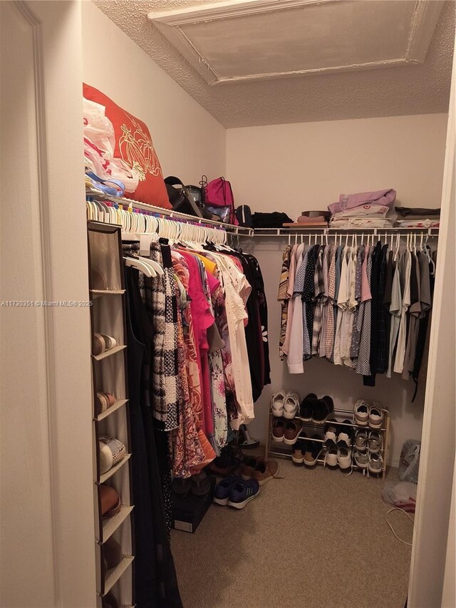 spacious closet with carpet