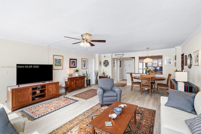 living room featuring crown molding, ceiling fan, and light hardwood / wood-style flooring