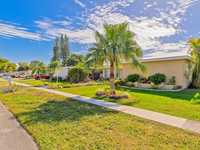 view of front of house featuring a front yard