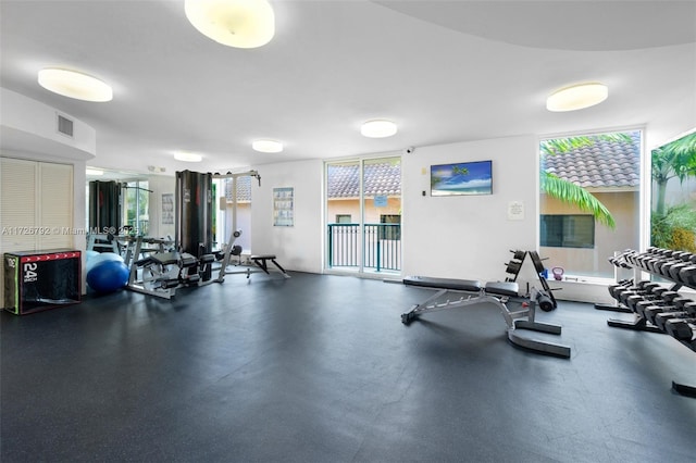 workout area featuring expansive windows