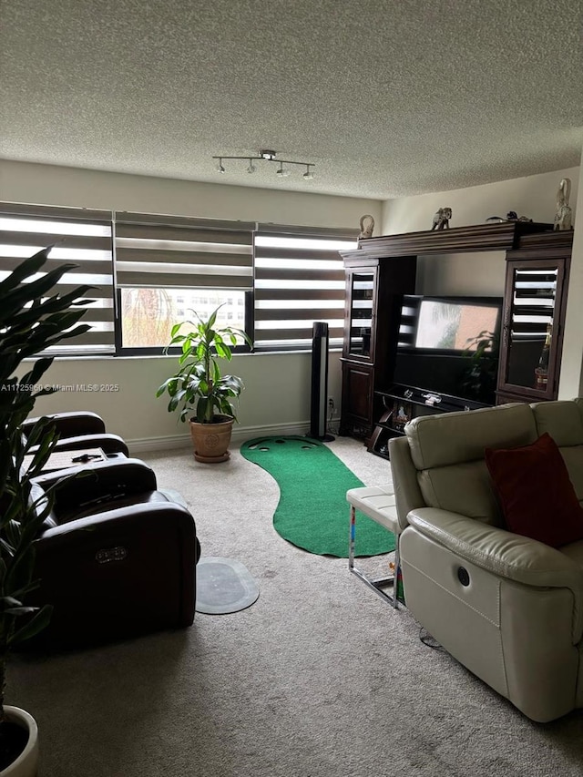 living room featuring track lighting and carpet flooring